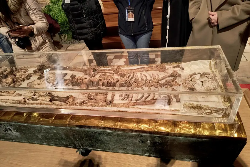 Saint Francis of Assisi’s skeleton goes on rare month-long public display in Assisi; thousands of visitors from around the world expected to attend.
