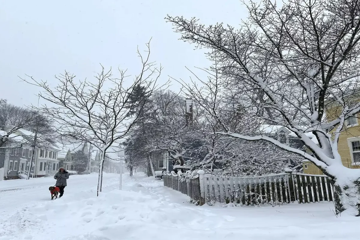 Blockbuster nor’easter hits NYC and Northeast with heavy snow, blizzards, power outages, and travel disruptions. Millions under winter storm warnings.